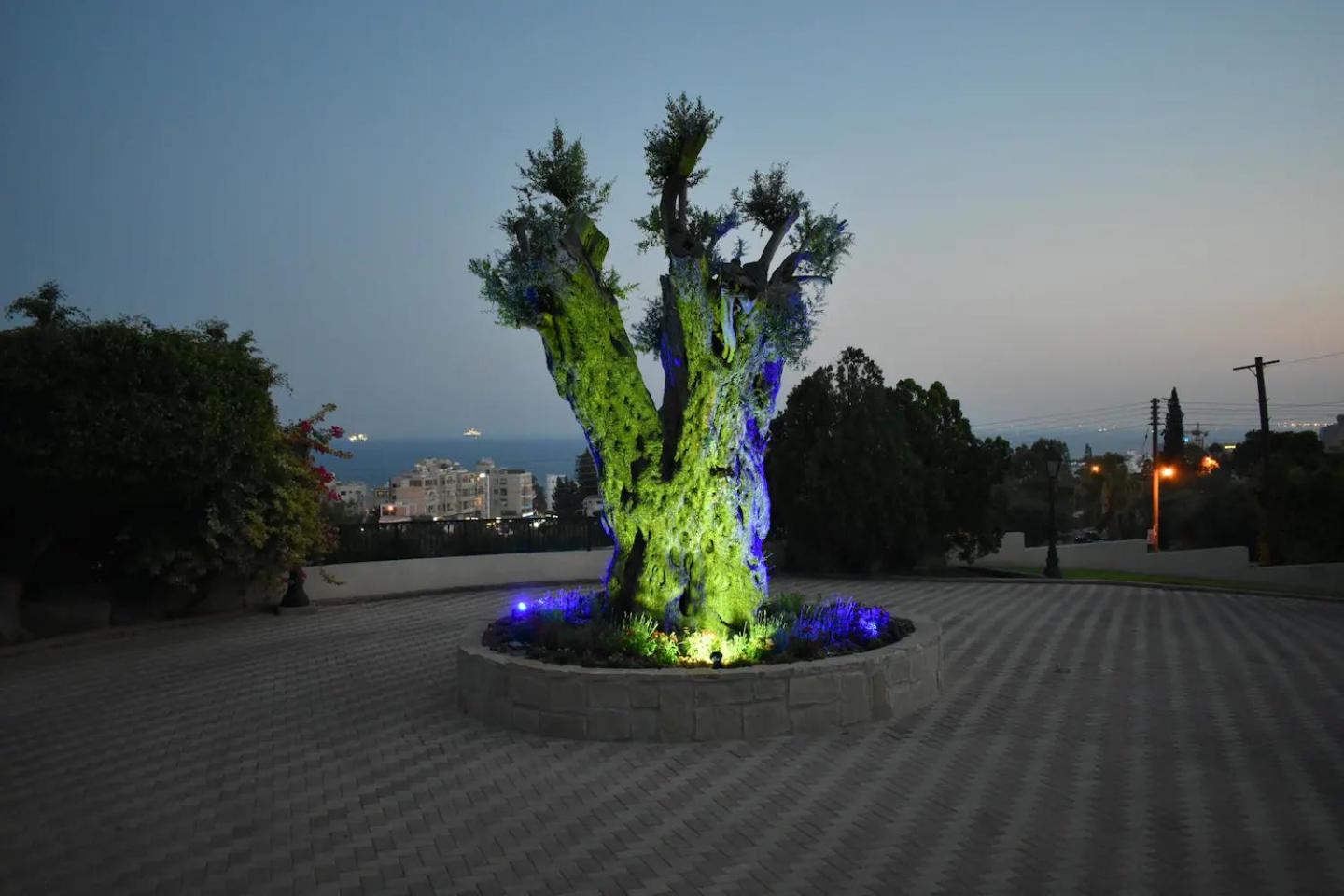 Olive Tree Apartments Limassol Bagian luar foto